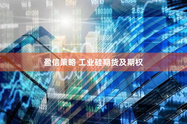 盈信策略 工业硅期货及期权