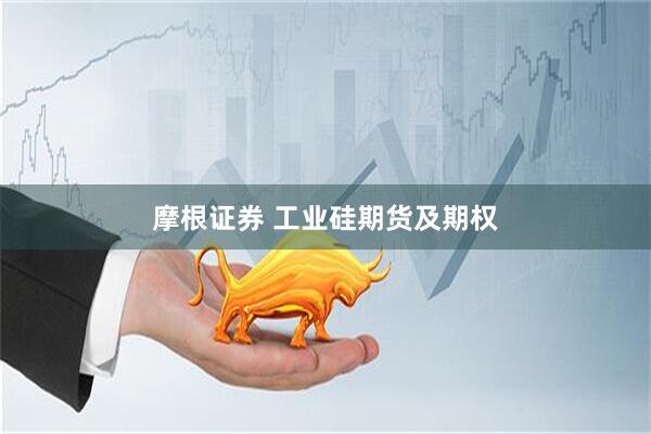 摩根证券 工业硅期货及期权