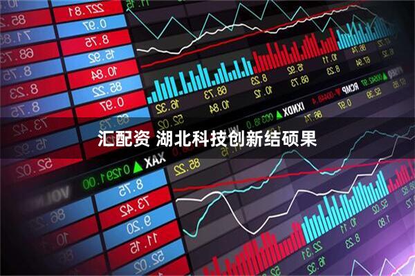 汇配资 湖北科技创新结硕果