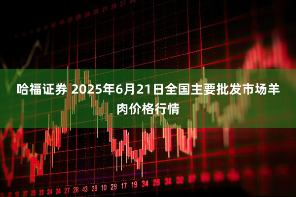 哈福证券 2025年6月21日全国主要批发市场羊肉价格行情