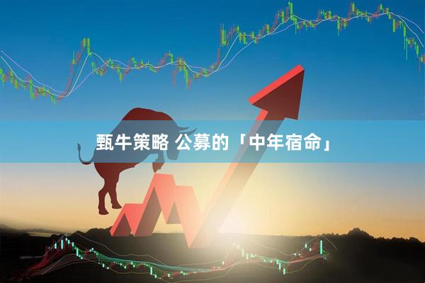 甄牛策略 公募的「中年宿命」