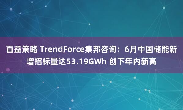 百益策略 TrendForce集邦咨询：6月中国储能新增招标量达53.19GWh 创下年内新高