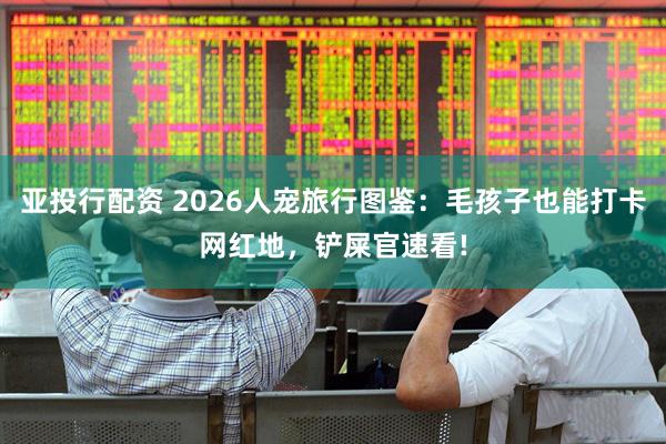 亚投行配资 2026人宠旅行图鉴：毛孩子也能打卡网红地，铲屎官速看!